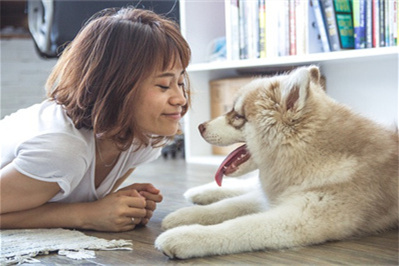 [year]塔城地区公司网站制作需要多少钱