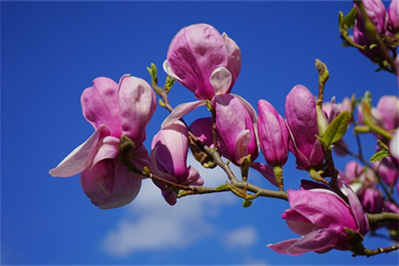 [year]高青县建一个外贸独立站大约多少钱