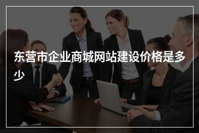 [year]东营市企业商城网站建设价格是多少