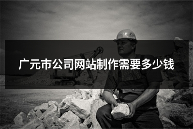 [year]广元市公司网站制作需要多少钱