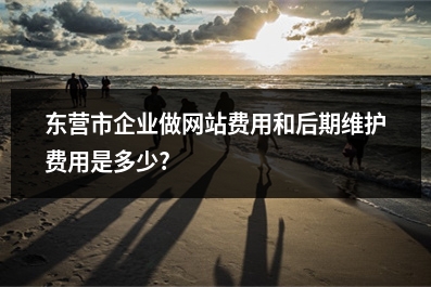 [year]东营市企业做网站费用和后期维护费用是多少?