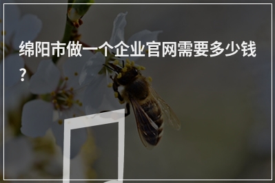 [year]绵阳市做一个企业官网需要多少钱?