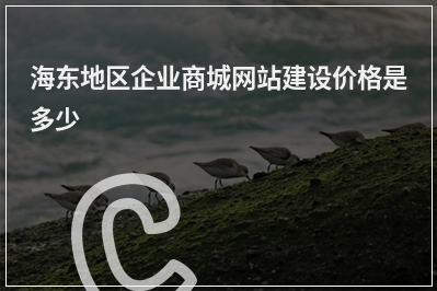[year]海东地区企业商城网站建设价格是多少