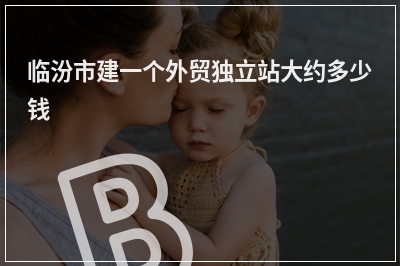 [year]临汾市建一个外贸独立站大约多少钱