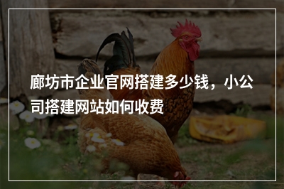 [year]廊坊市企业官网搭建多少钱，小公司搭建网站如何收费