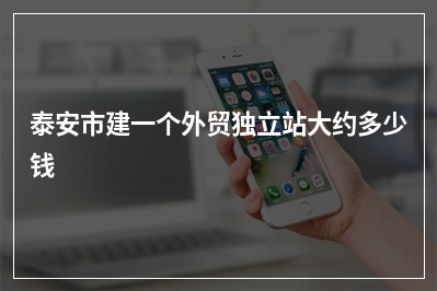 [year]泰安市建一个外贸独立站大约多少钱