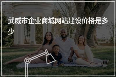 [year]武威市企业商城网站建设价格是多少