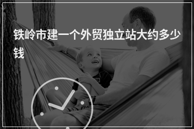 [year]铁岭市建一个外贸独立站大约多少钱
