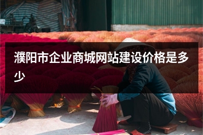 [year]濮阳市企业商城网站建设价格是多少