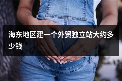 [year]海东地区建一个外贸独立站大约多少钱