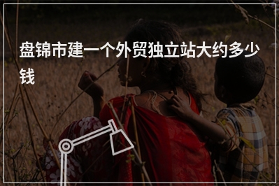 [year]盘锦市建一个外贸独立站大约多少钱