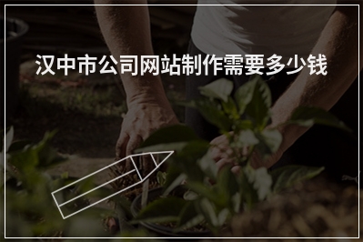 [year]汉中市公司网站制作需要多少钱