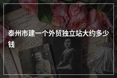 [year]泰州市建一个外贸独立站大约多少钱