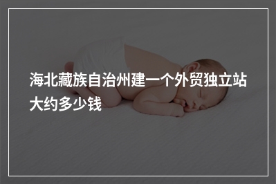 [year]海北藏族自治州建一个外贸独立站大约多少钱