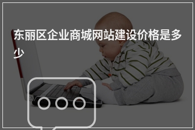 [year]东丽区企业商城网站建设价格是多少