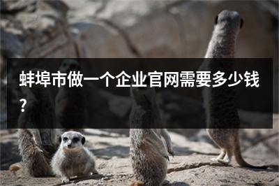 [year]蚌埠市做一个企业官网需要多少钱?