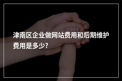 [year]津南区企业做网站费用和后期维护费用是多少?