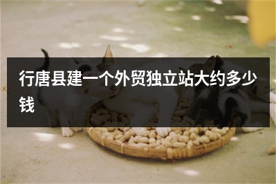 [year]行唐县建一个外贸独立站大约多少钱