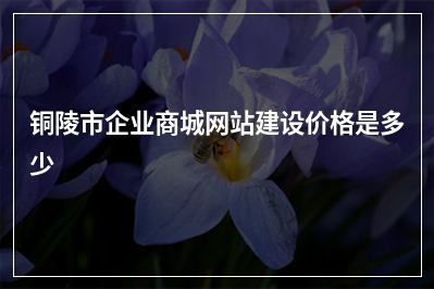 [year]铜陵市企业商城网站建设价格是多少