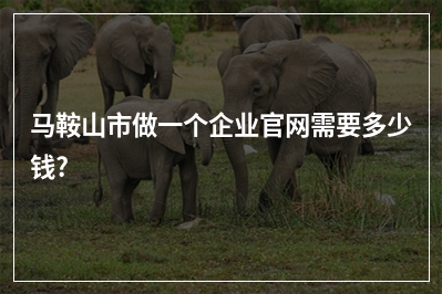 [year]马鞍山市做一个企业官网需要多少钱?