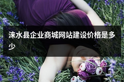 [year]涞水县企业商城网站建设价格是多少