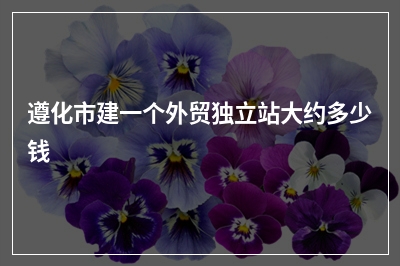 [year]遵化市建一个外贸独立站大约多少钱