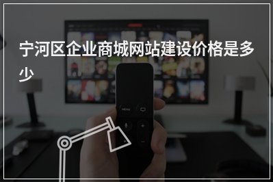 [year]宁河区企业商城网站建设价格是多少