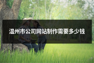 [year]温州市公司网站制作需要多少钱