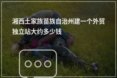 [year]湘西土家族苗族自治州建一个外贸独立站大约多少钱