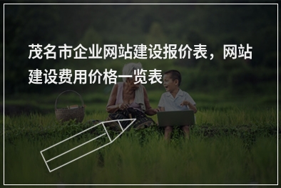 [year]茂名市企业网站建设报价表，网站建设费用价格一览表
