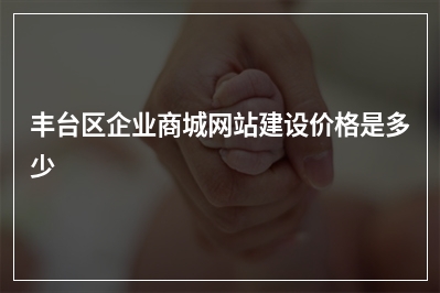 [year]丰台区企业商城网站建设价格是多少