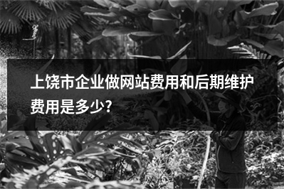 [year]上饶市企业做网站费用和后期维护费用是多少?