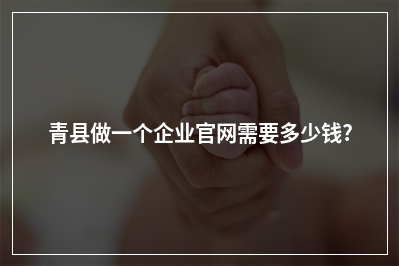[year]青县做一个企业官网需要多少钱?