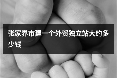 [year]张家界市建一个外贸独立站大约多少钱