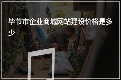 [year]毕节市企业商城网站建设价格是多少