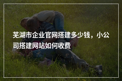 [year]芜湖市企业官网搭建多少钱，小公司搭建网站如何收费