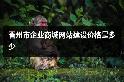 [year]晋州市企业商城网站建设价格是多少