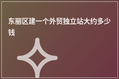 [year]东丽区建一个外贸独立站大约多少钱