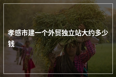 [year]孝感市建一个外贸独立站大约多少钱
