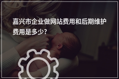 [year]嘉兴市企业做网站费用和后期维护费用是多少?