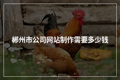 [year]郴州市公司网站制作需要多少钱