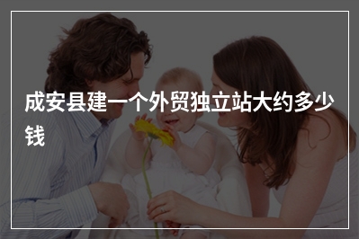 [year]成安县建一个外贸独立站大约多少钱