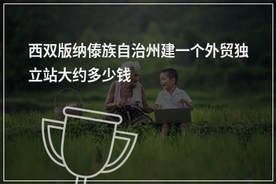 [year]西双版纳傣族自治州建一个外贸独立站大约多少钱