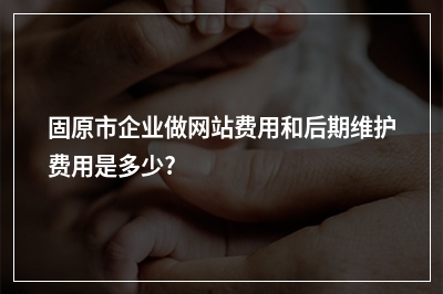 [year]固原市企业做网站费用和后期维护费用是多少?