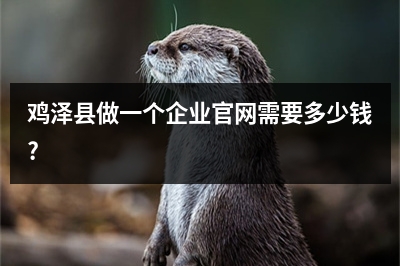 [year]鸡泽县做一个企业官网需要多少钱?