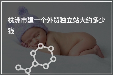 [year]株洲市建一个外贸独立站大约多少钱
