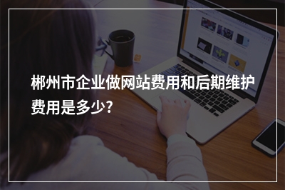 [year]郴州市企业做网站费用和后期维护费用是多少?