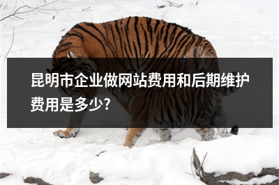 [year]昆明市企业做网站费用和后期维护费用是多少?