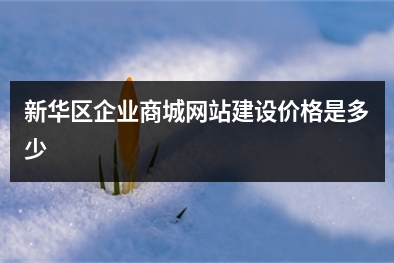 [year]新华区企业商城网站建设价格是多少