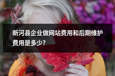 [year]新河县企业做网站费用和后期维护费用是多少?